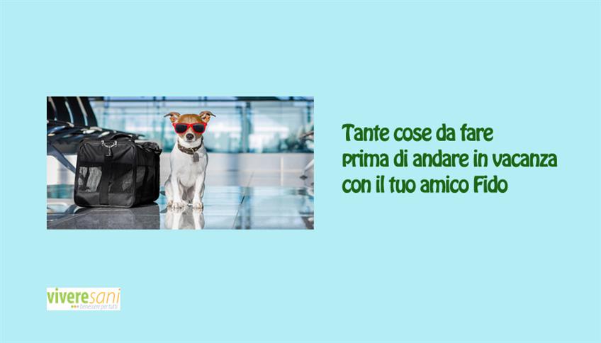 Anche Fido in vacanza con noi